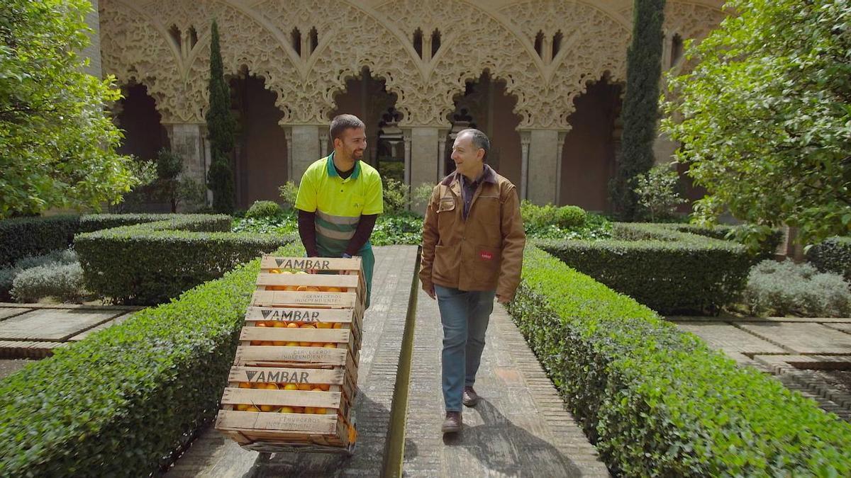 Ambar elabora su nueva cerveza ‘Ambiciosa’ con naranjas de la Aljafería