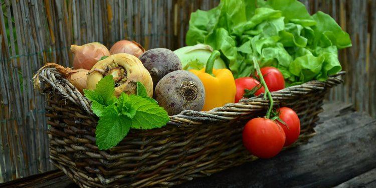 Bruselas asignará 185,9 millones en 2023 para promocionar productos agroalimentarios