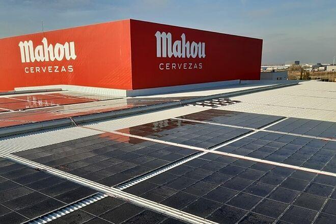 Mahou transformará residuos en bebidas de insecto y desinfectante