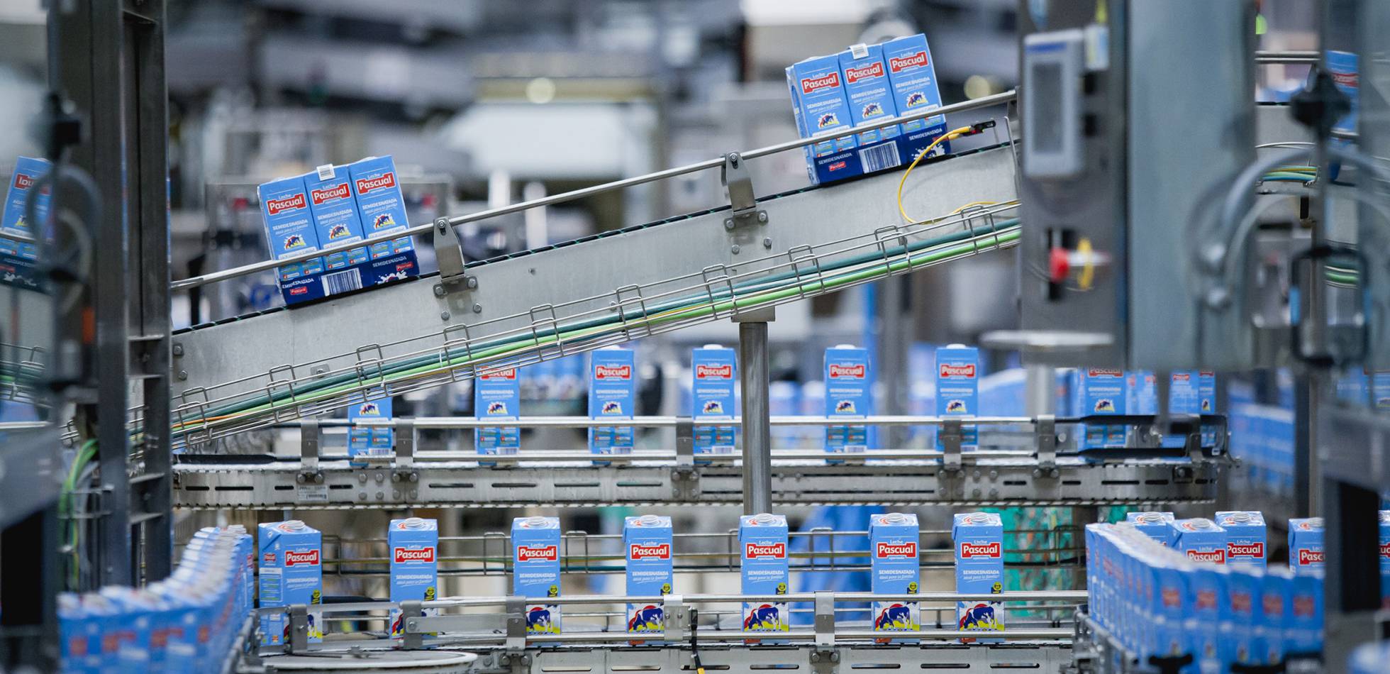 La industria láctea descarta bajadas de precios en 2023 y apunta a un año “igual de malo o peor”