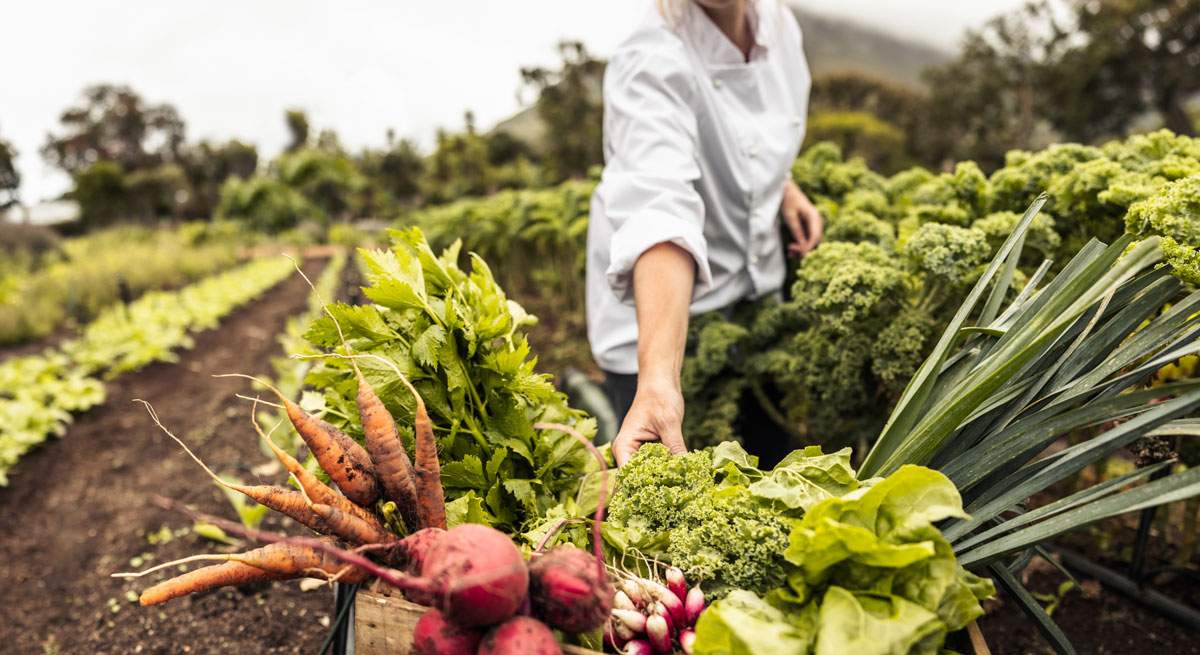 Los alimentos suben un 3% en origen en 15 días y se comen la rebaja del IVA