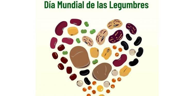 El sector de las legumbres reclama campañas para fomentar su consumo