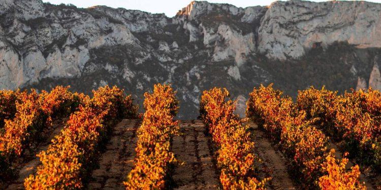 Rioja logra en 2022 crecer en mercados clave y consolidar su posición en España
