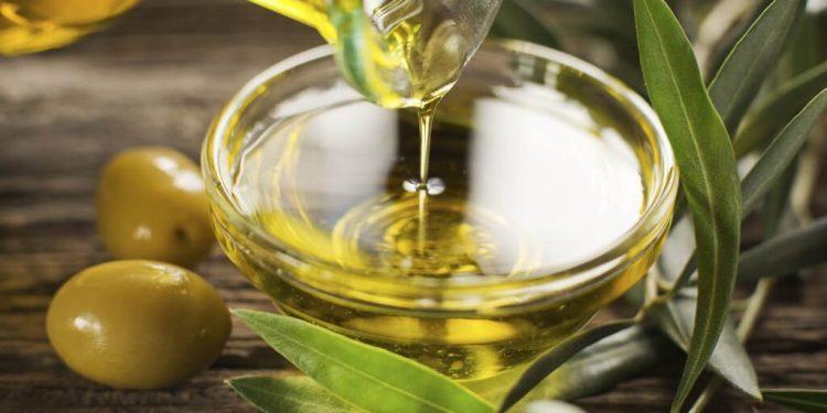 Cooperativas Agroalimentarias pide ayudas para el sector del olivar por los efectos de la sequía