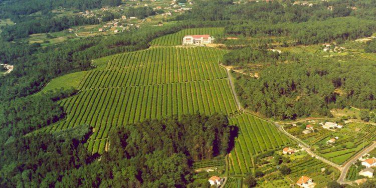 CVNE incorpora una nueva bodega al grupo