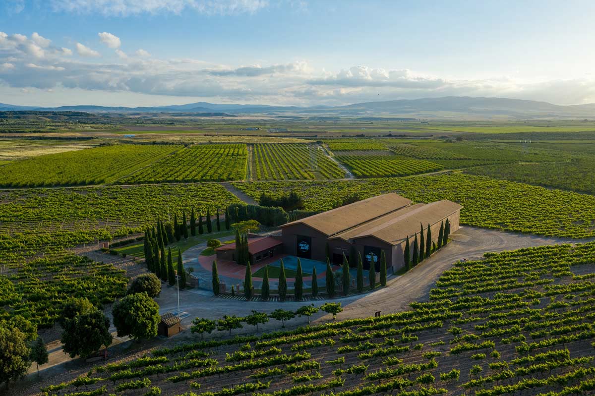 Terras Gauda y Martín Códax, a contracorriente: controlan cuatro bodegas de Ribera, La Rioja y El Bierzo