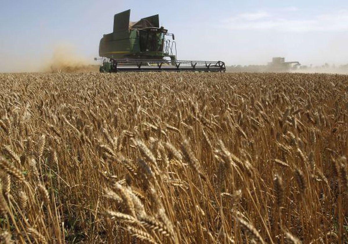 La cesta de la compra, condenada a mantener unos precios caros pese a la rebaja de costes agrarios