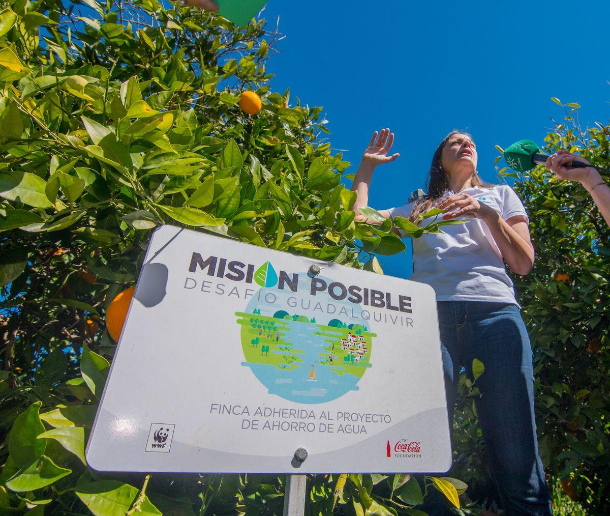 Así es el proyecto de Coca-Cola para equilibrar el impacto medioambiental de sus embotelladoras