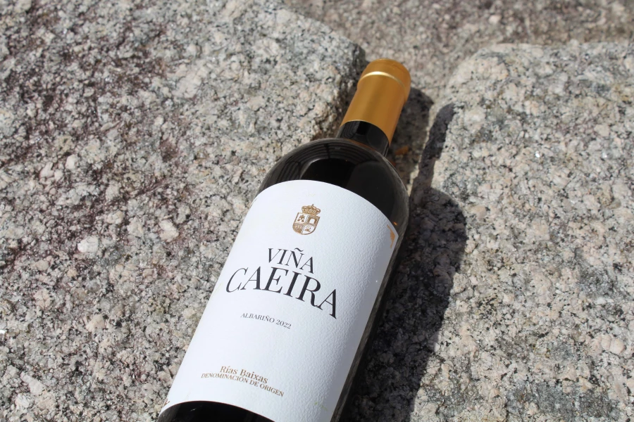 Carlos Moro anuncia el primer vino elaborado en la D.O. Rías Baixas, Viña Caeira