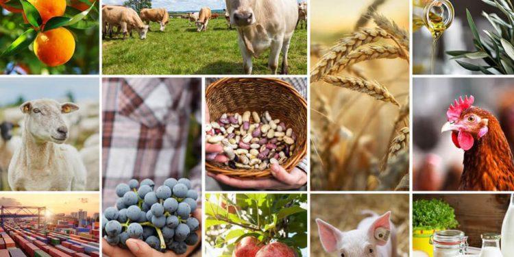 La CE estima que los precios de los alimentos tardarán un tiempo en bajar