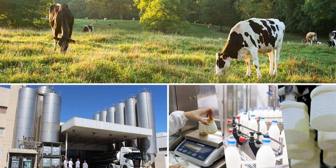 Lactalis da a conocer las claves estratégicas de la compañía en materia de sostenibilidad