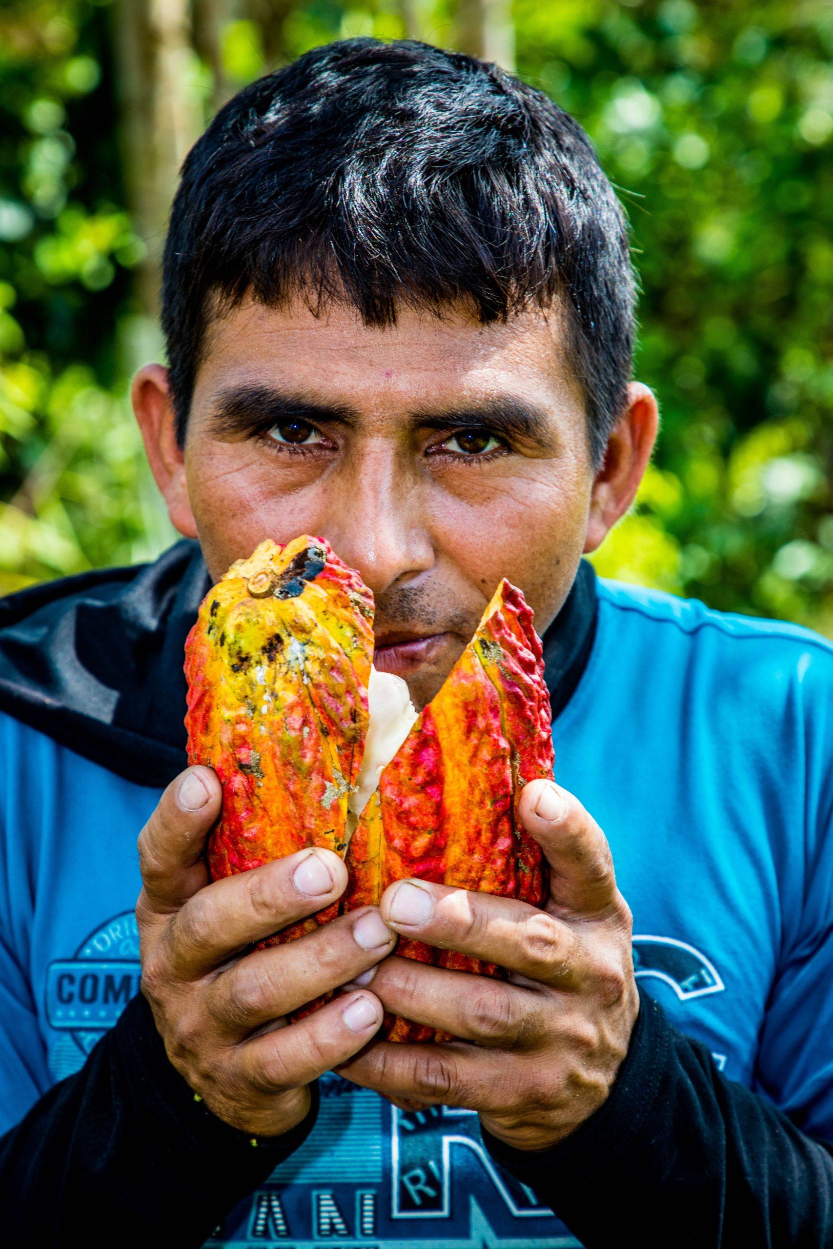 El cacao lidera la apuesta por los productos éticos, según Oikocredit