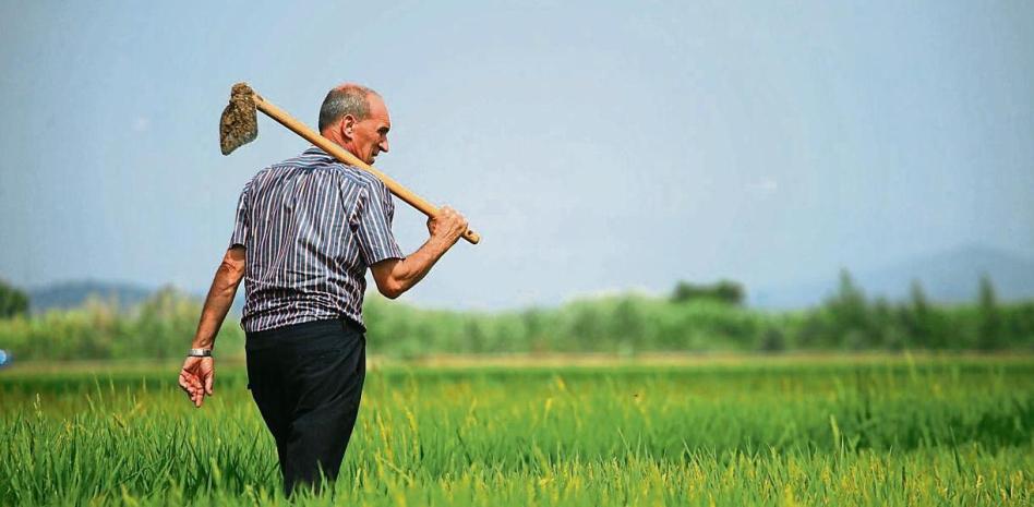 Sostenibilidad y viabilidad se dan la mano en el sector agroalimentario
