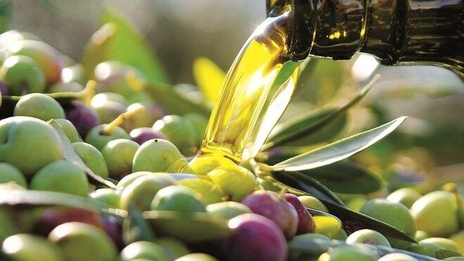 El precio del aceite de oliva no para de crecer y la situación se agravará por la sequía