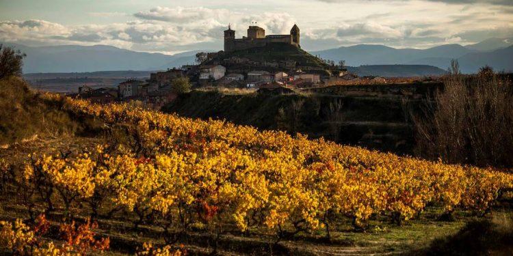 Los vinos de la DOCa Rioja mantienen su posición de liderazgo en el ámbito nacional