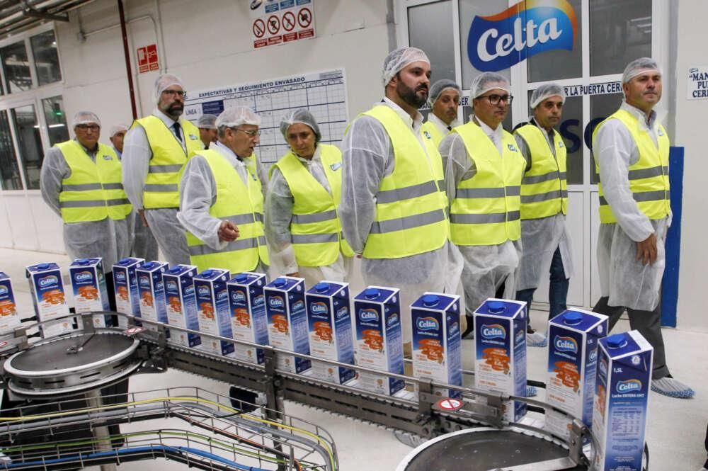 La otra cara de la inflación: Leche Celta bate récord de ingresos y sale de pérdidas