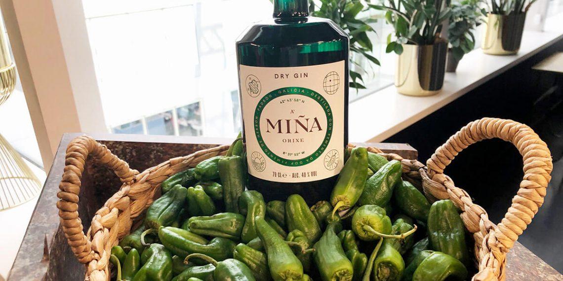 Pernod Ricard lanza su primera ginebra picante