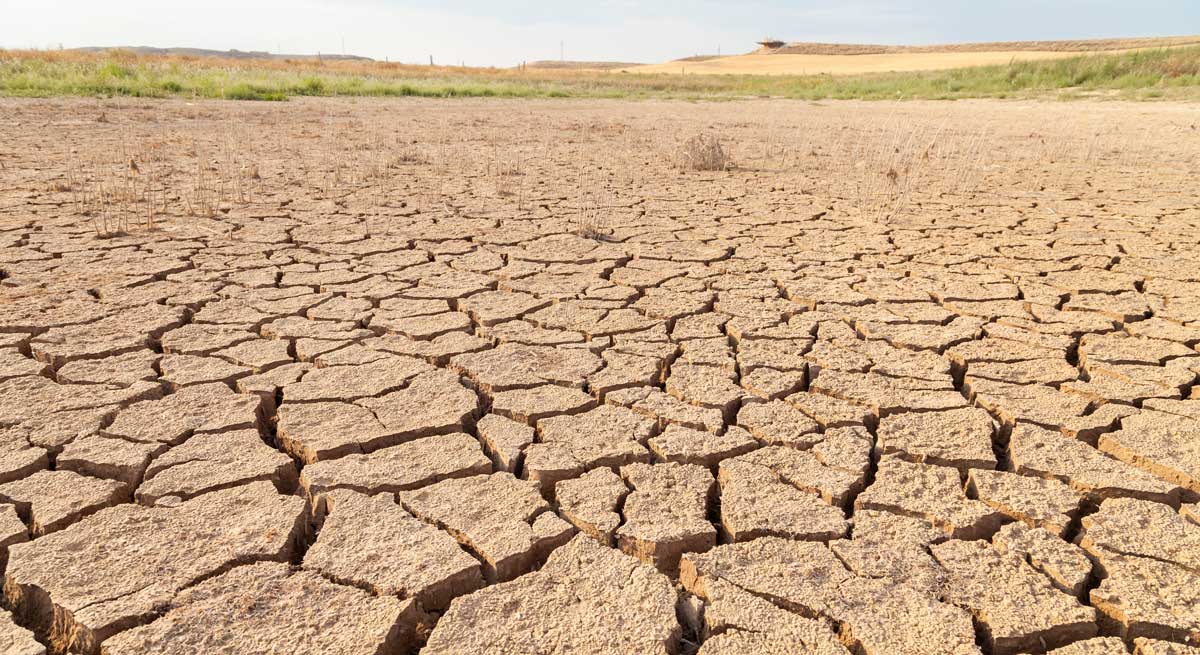 La sequía recorta un 16% la producción agroalimentaria española y aumenta la presión sobre los precios