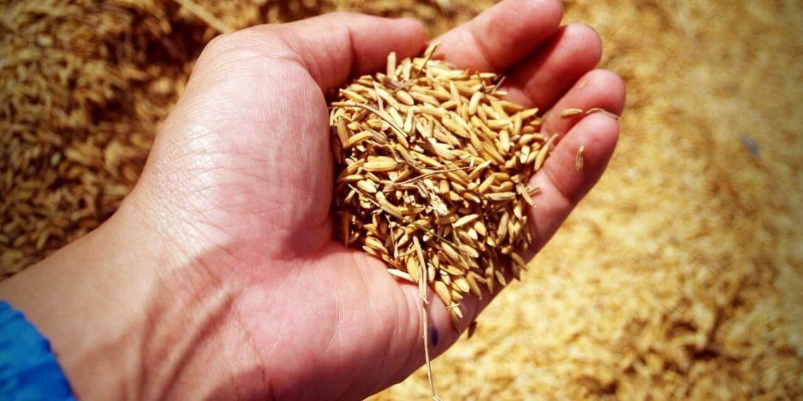 Los precios mundiales de los alimentos repuntan ligeramente en abril