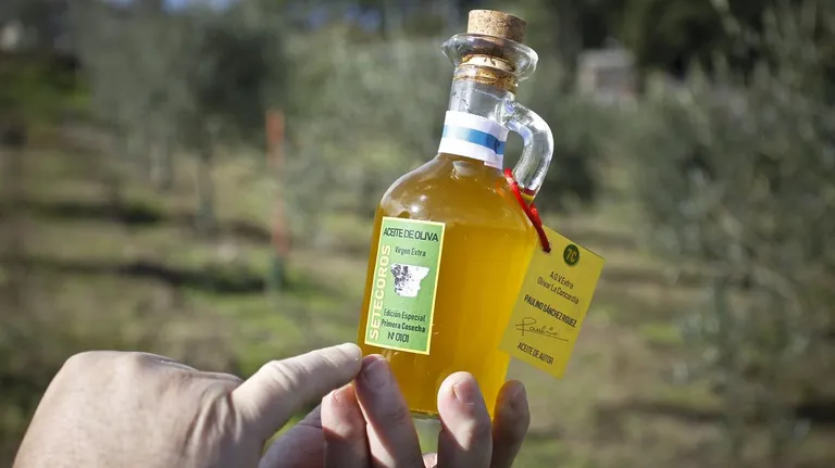 El aceite de oliva español destrona al italiano por vez primera en Estados Unidos