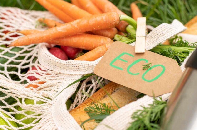 Innovación en el desarrollo de ingredientes es clave para una alimentación sostenible 