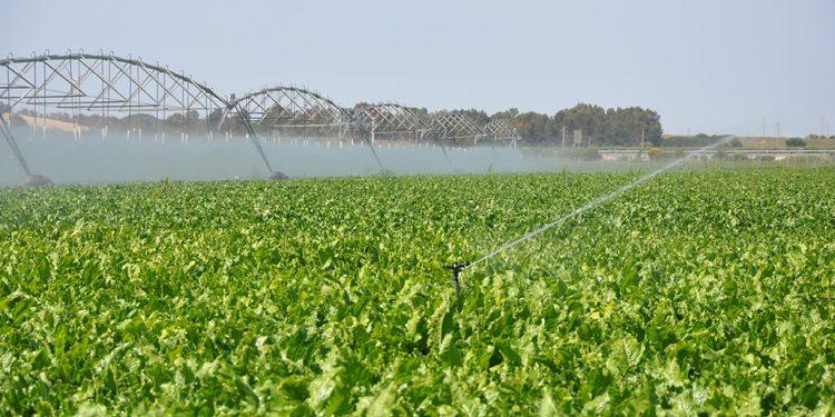 Luis Planas firma con Unión de Uniones el acuerdo sobre las 43 medidas de respuesta del Gobierno a las inquietudes de agricultores y ganaderos