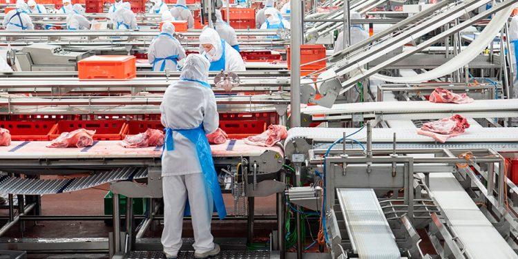 La industria de alimentación y bebidas supera las cifras preCovid con más de medio millón de empleos