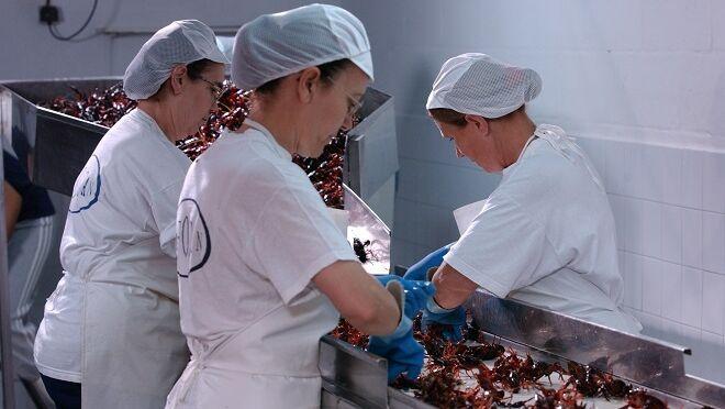 La industria alimentaria pide «estabilidad» para el sector a un mes de las elecciones