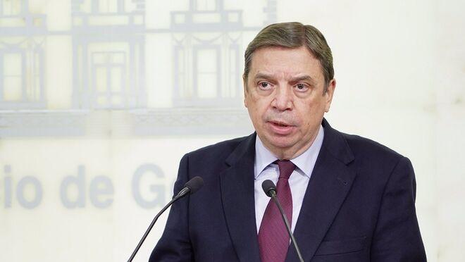 Planas insiste en que los márgenes de la distribución están lejos de ser «abusivos»