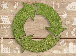 La «economía circular». Repercusiones ambientales y económicas