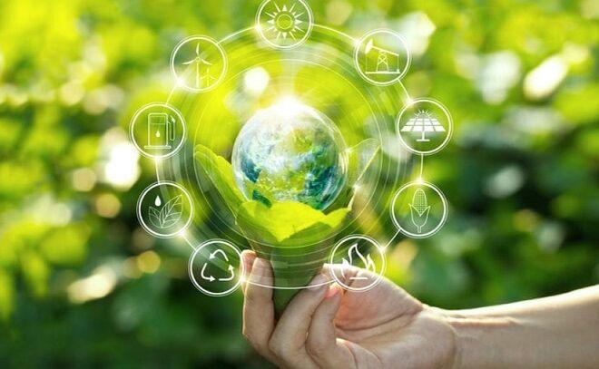 Las cadenas de food retail hacen los deberes en materia de medioambiente