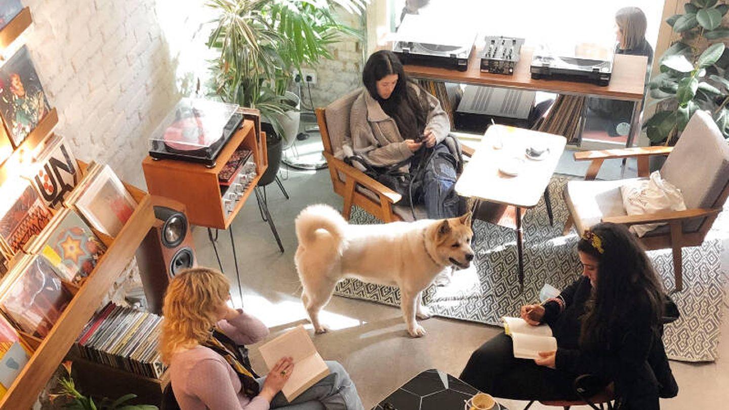 Los cafés a 4 euros conquistan la ciudad: el modelo hostelero que favorece la conciliación