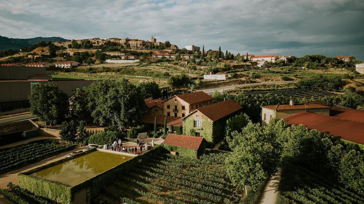 Bodegas Entrecanales Domecq e Hijos aborda su proceso de digitalización