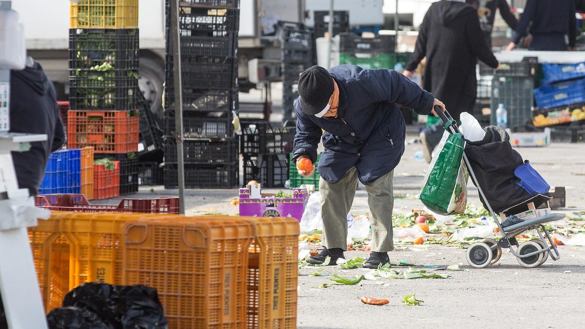 Petrer busca reducir el desperdicio alimentario en hoteles, restaurantes y cafeterías