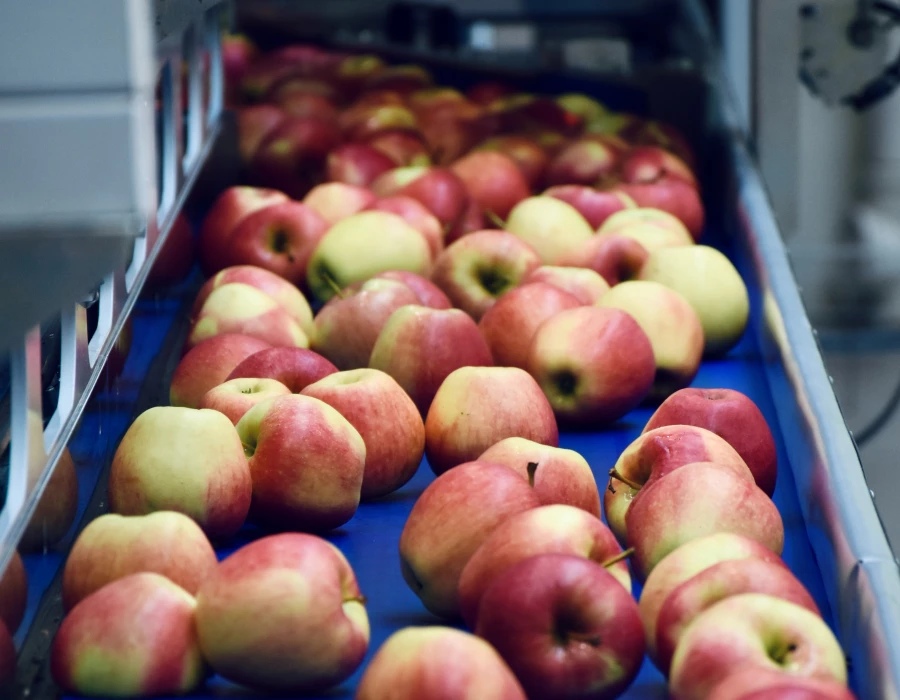 Las cadenas de suministro que surten el sector alimentario están siendo llevadas al límite