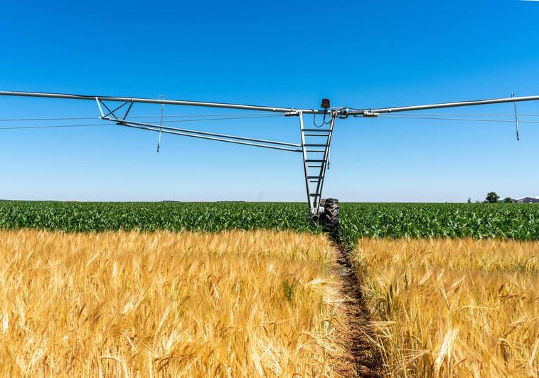 Avances hacia la sostenibilidad y la digitalización del campo