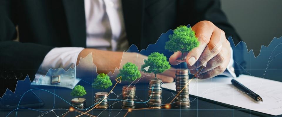 La economía circular se afianza como el modelo de negocio para el futuro