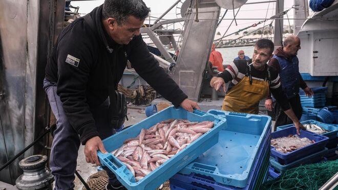 La cadena alimentaria hace balance de la legislatura