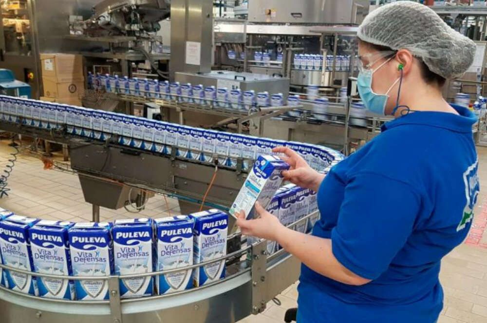 Lactalis, el mayor grupo lácteo en España, bate su récord de ingresos, pero pincha en beneficios