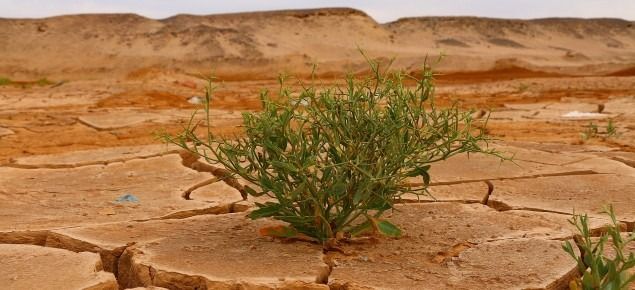 Los españoles son los usuarios más preocupados por el cambio climático, según el último informe de Dynata