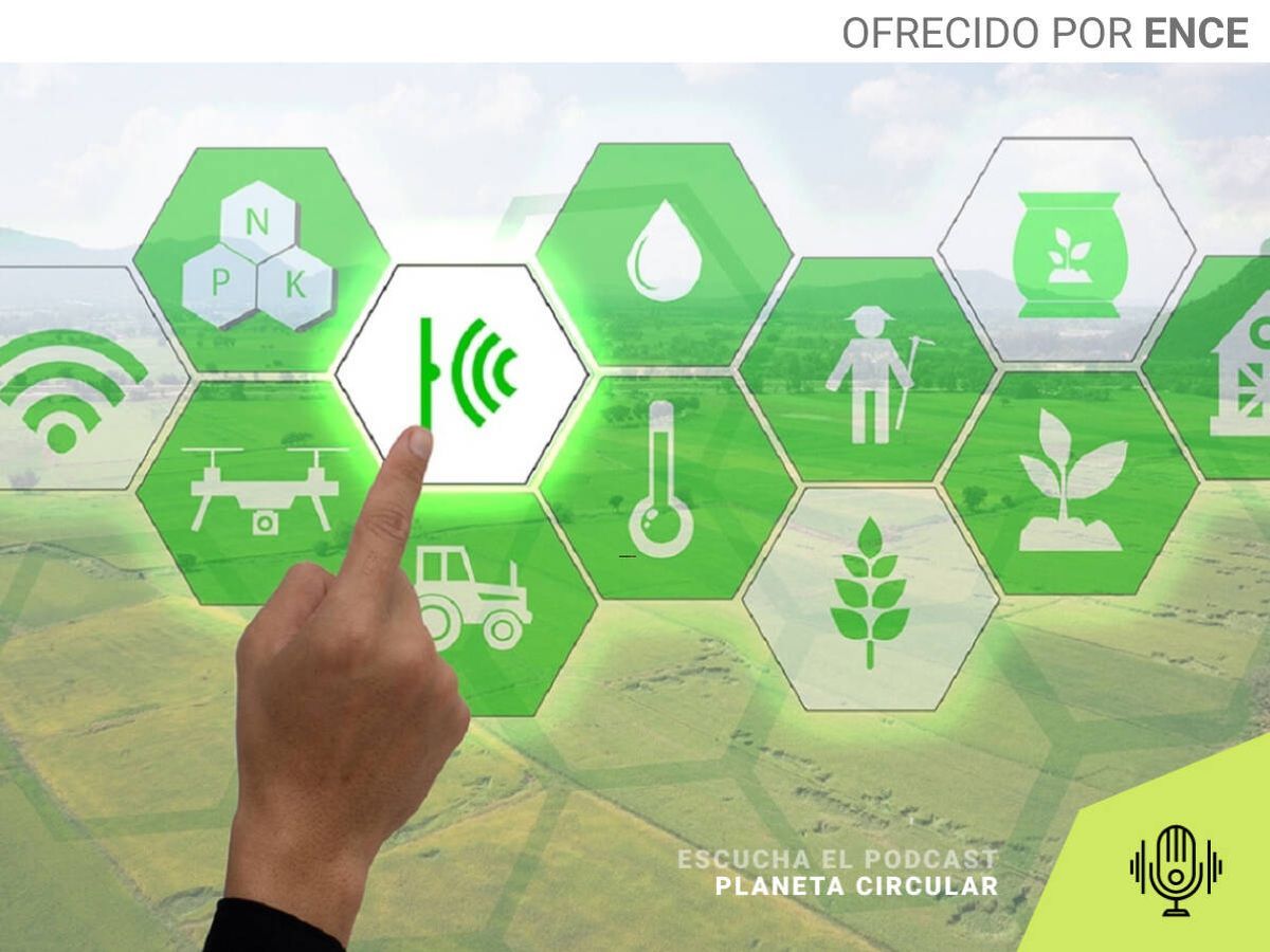 El auge de los empleos verdes: habrá 18 millones de nuevos puestos de trabajo hasta 2030