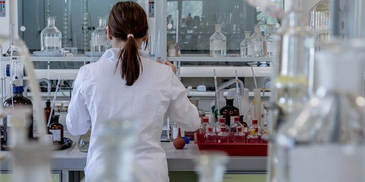 El foodtech en la industria alimentaria española: claves de un sector en ascenso