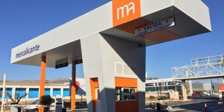 Mercalicante alcanza un aumento de beneficios en lo que va del año