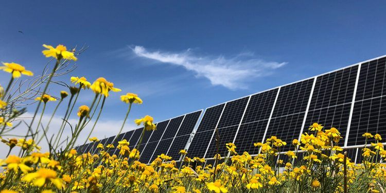 Equilibrio entre sostenibilidad y eficiencia: nuevo desafío para el sector agroalimentario