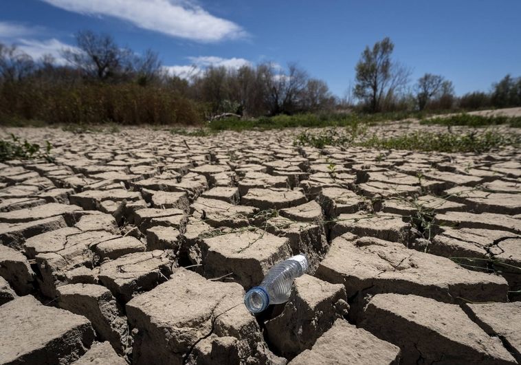 Sequía: la industria alimentaria pide tener acceso preferente al agua