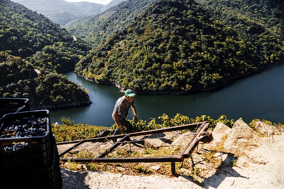 Ponte da Boga, un vino con la heroicidad de la Ribeira Sacra en el ADN