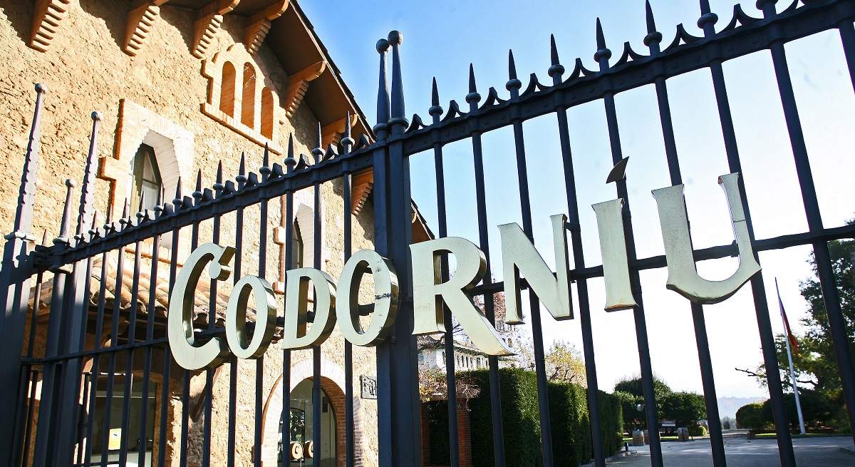 Codorníu vuelve a beneficios tras el mejor resultado de la década, con 227 millones en ventas