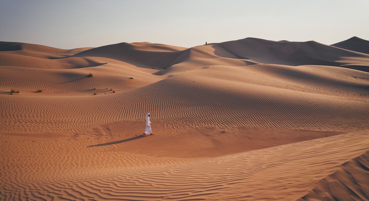 Dubái quiere cultivar en el desierto y negocia con España la entrada de empresas alimentarias