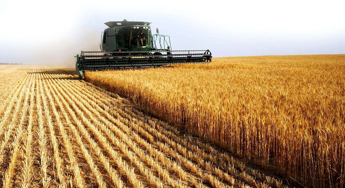 El precio mundial de los alimentos descendió el año pasado un 13,7%