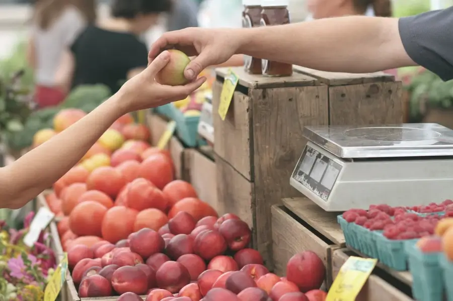 Cinco tendencias clave para comprender la evolución del Retail en 2024